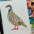 Partridge - Original Painting
