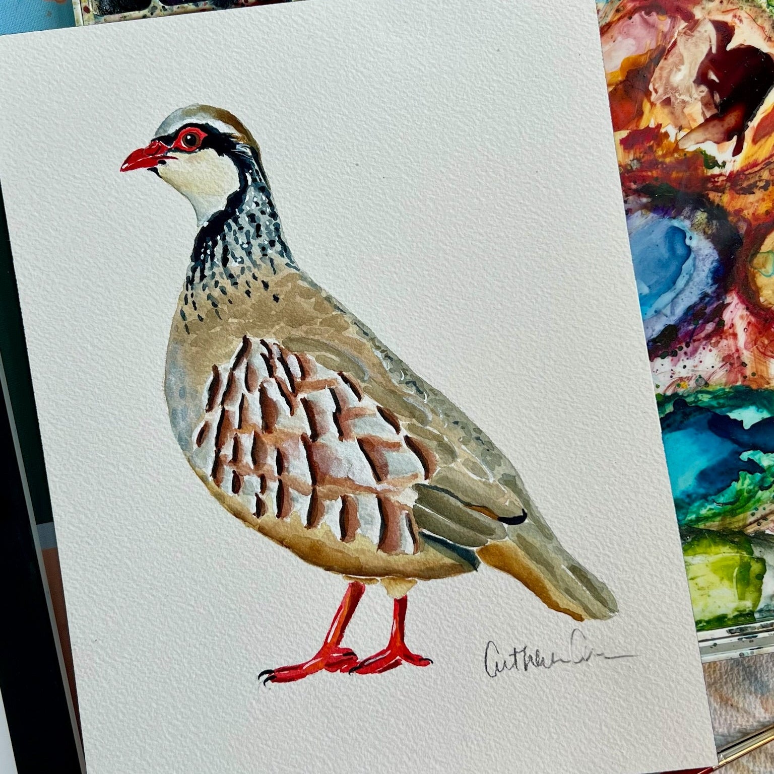 Partridge - Original Painting