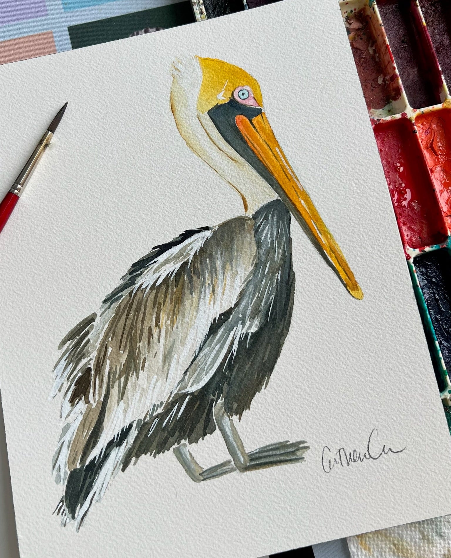 Pelican - Original Painting