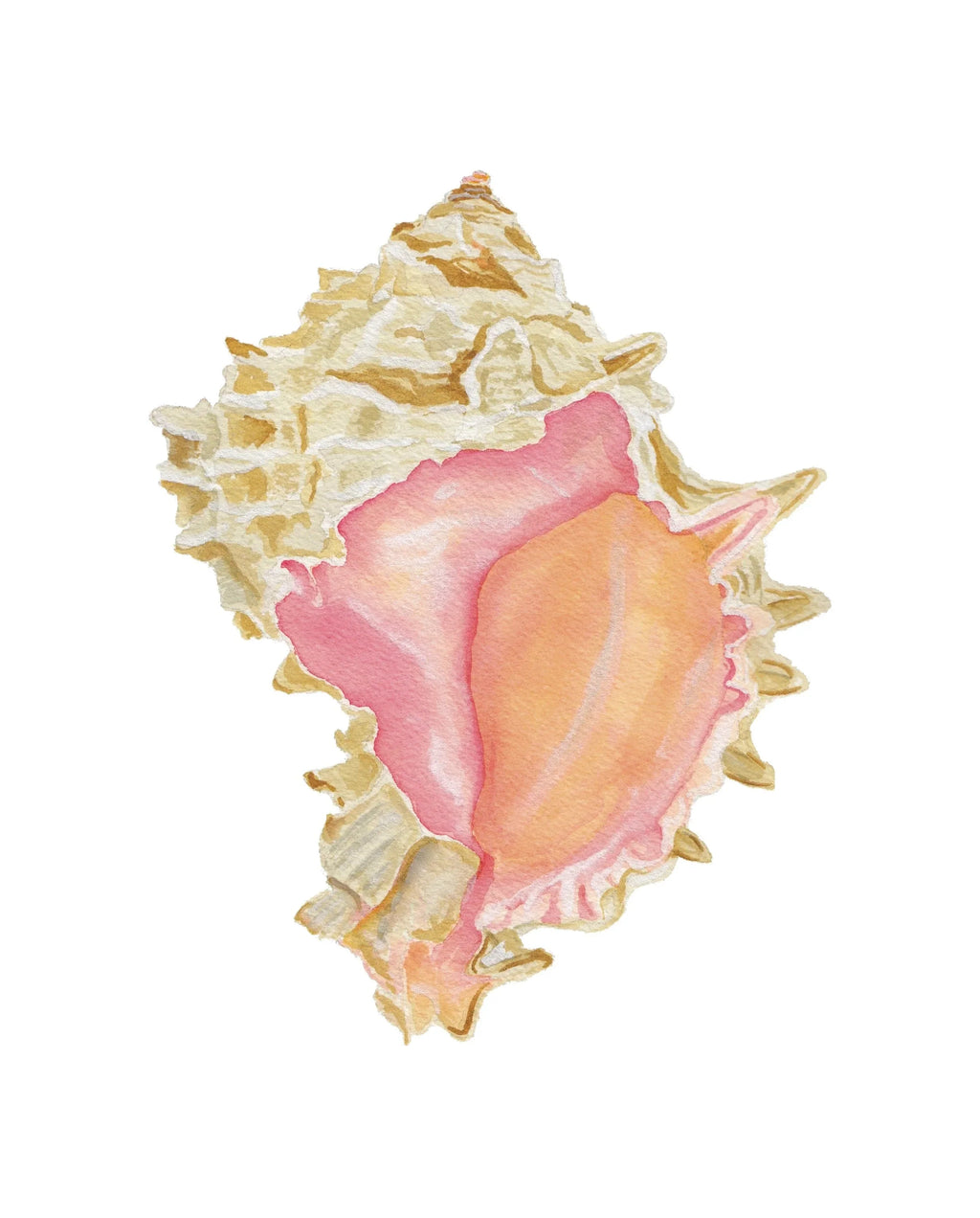 Pink Murex Acrylic Art Block Large