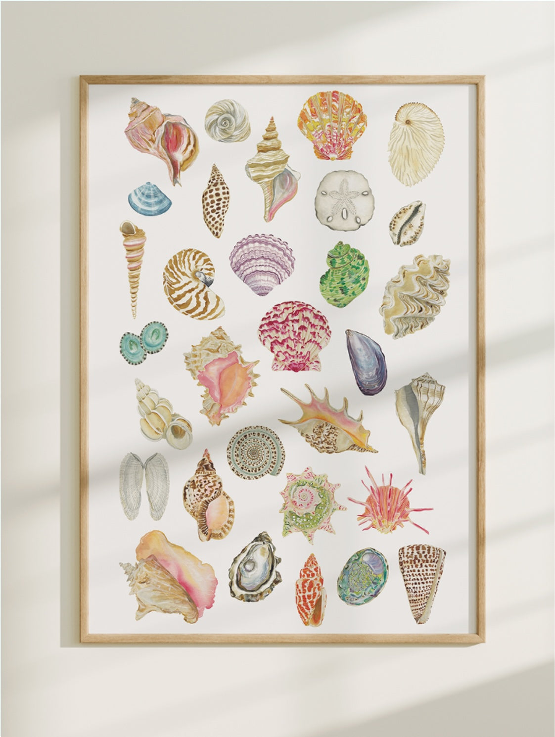 All the Seashells Art Print 11x14
