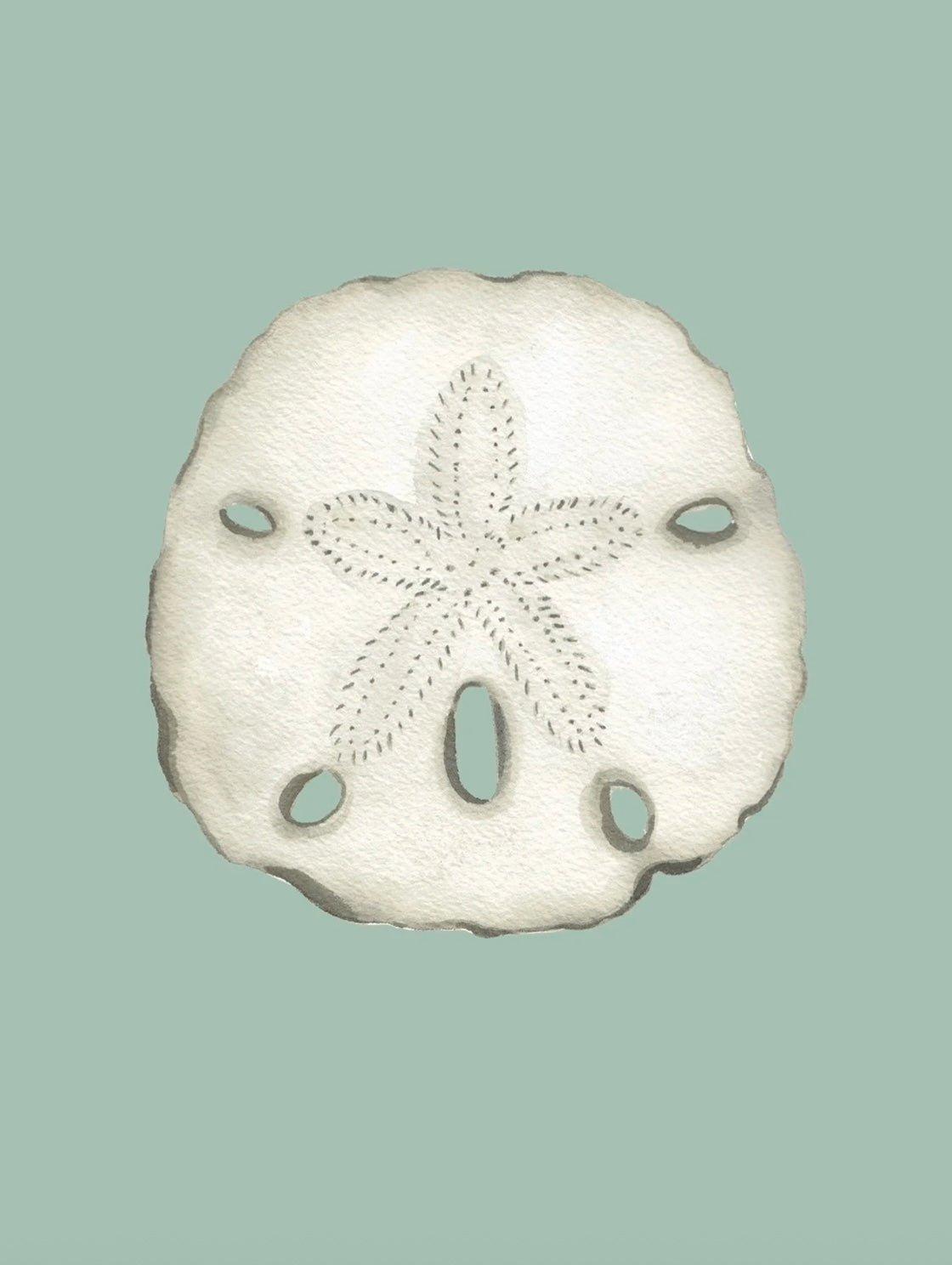 Sand Dollar Art Print Colorful 5x7