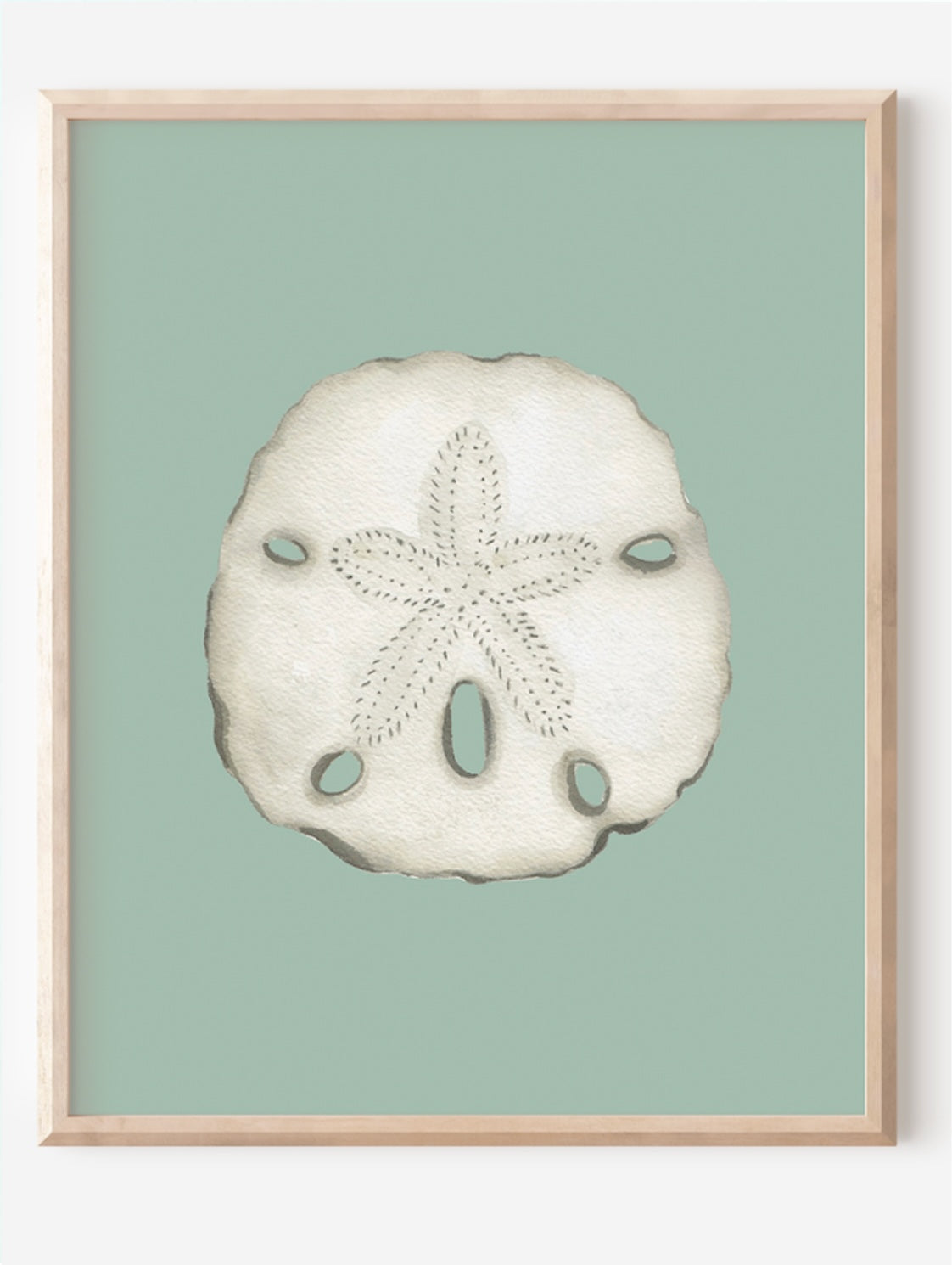 Sand Dollar Art Print Colorful 5x7