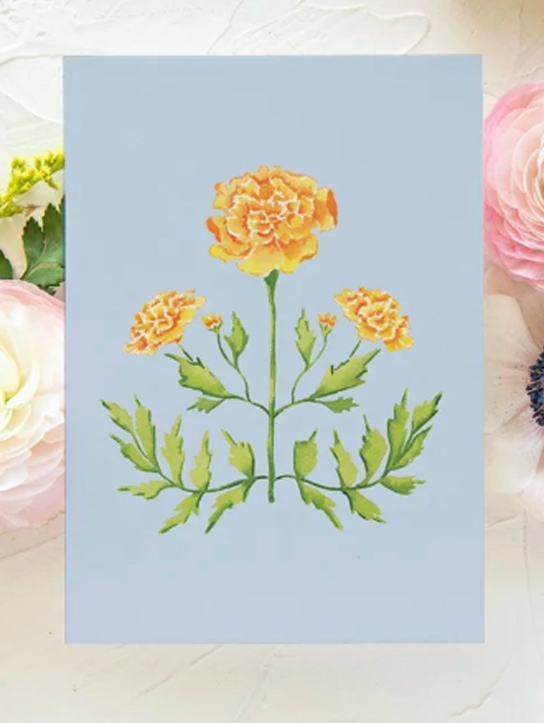 Botanical Art Prints 8x10 - Marigold