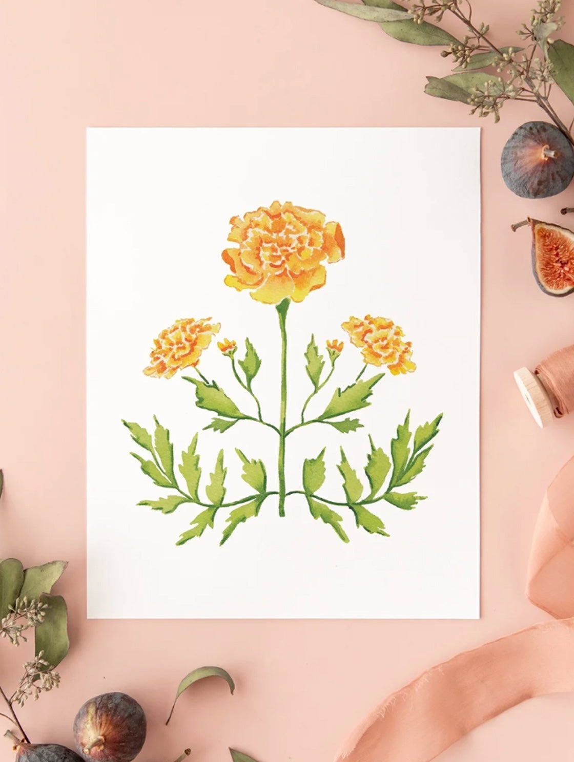 Botanical Art Prints 8x10 - Marigold