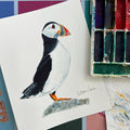 Puffin - Original Painting