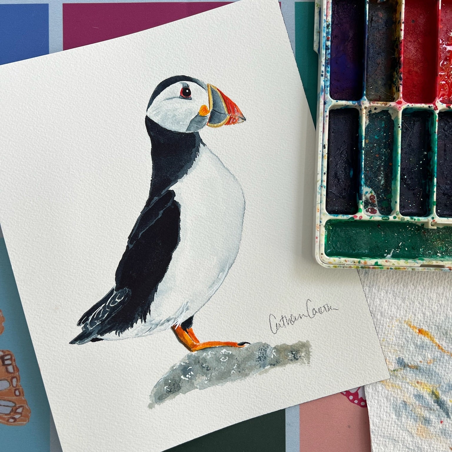 Puffin - Original Painting