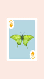 Butterfly Playing Cards with Acrylic Box