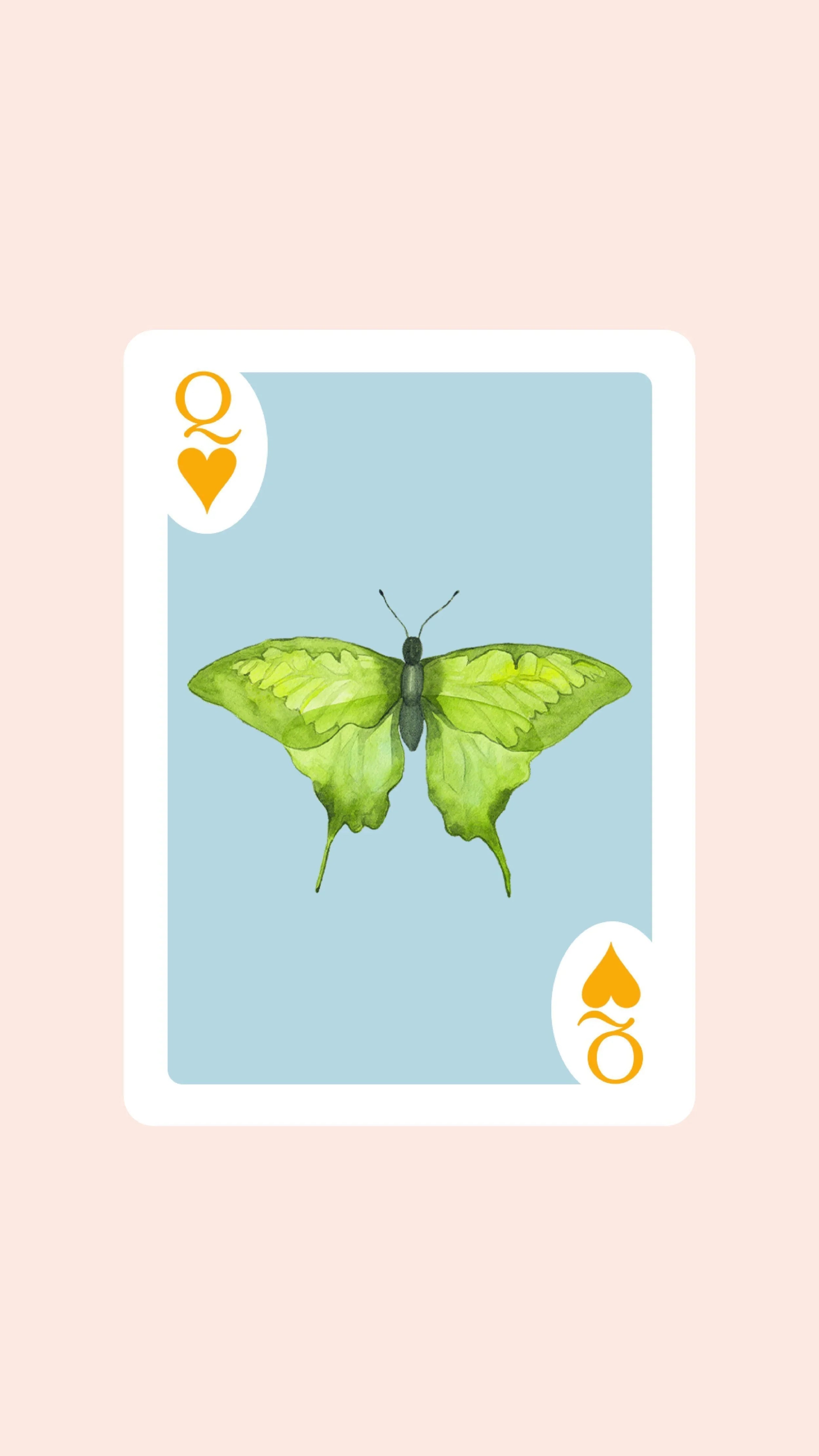 Butterfly Playing Cards with Acrylic Box