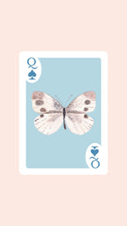 Double Deck of Butterfly Playing Cards with Acrylic Box