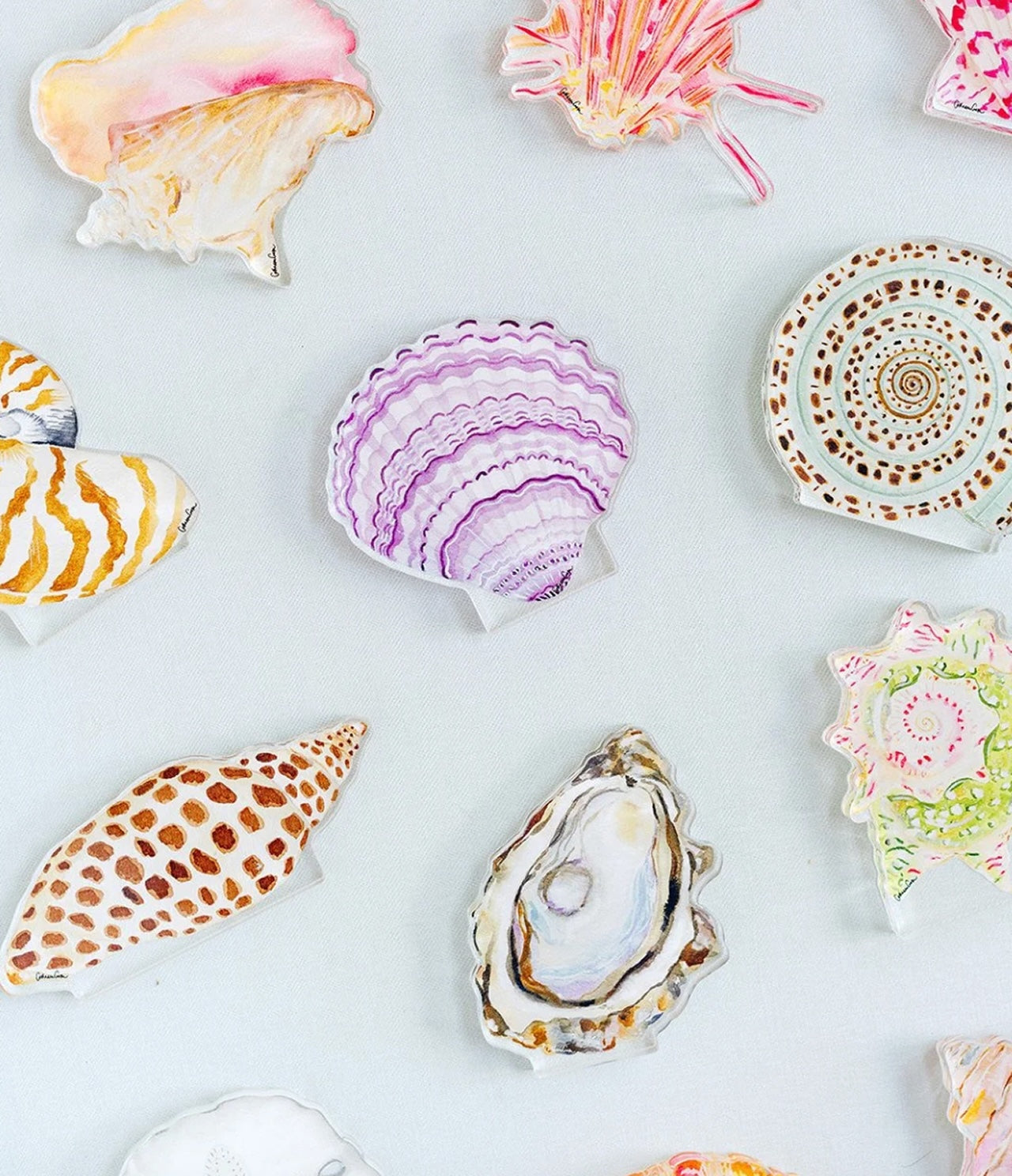 Colorful seashells on a light blue background