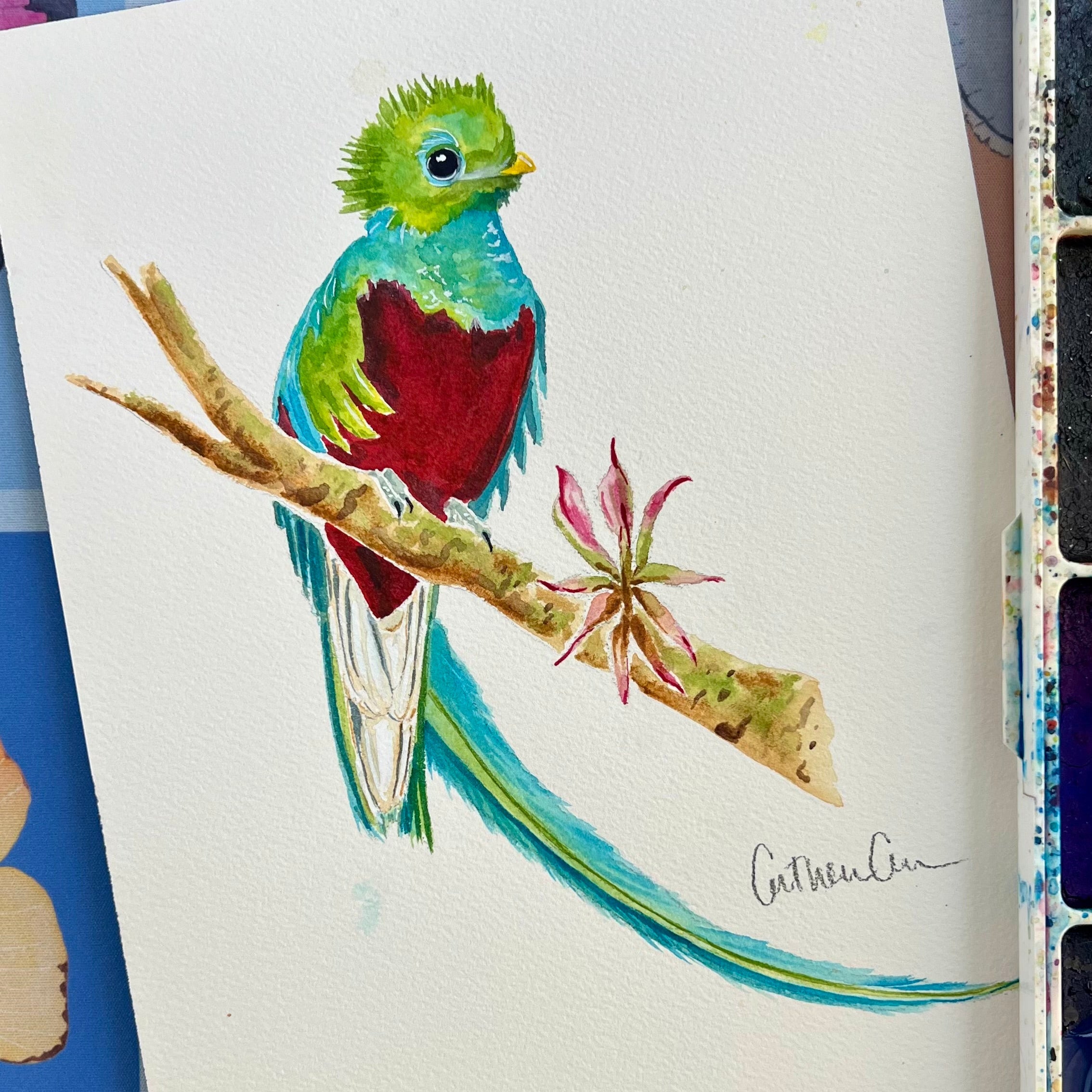 Resplendent Quetzal - Original Painting