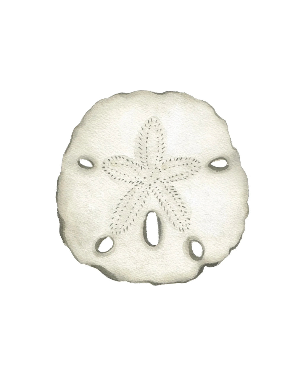 Sand Dollar Acrylic Art Block Large