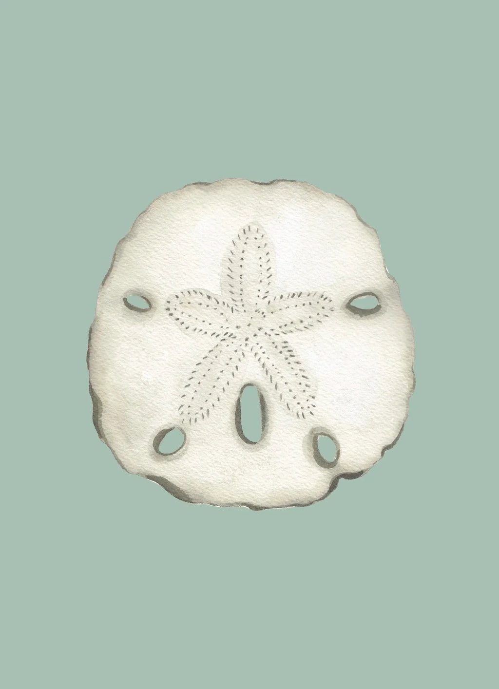 Sand Dollar Art Print Colorful 5x7
