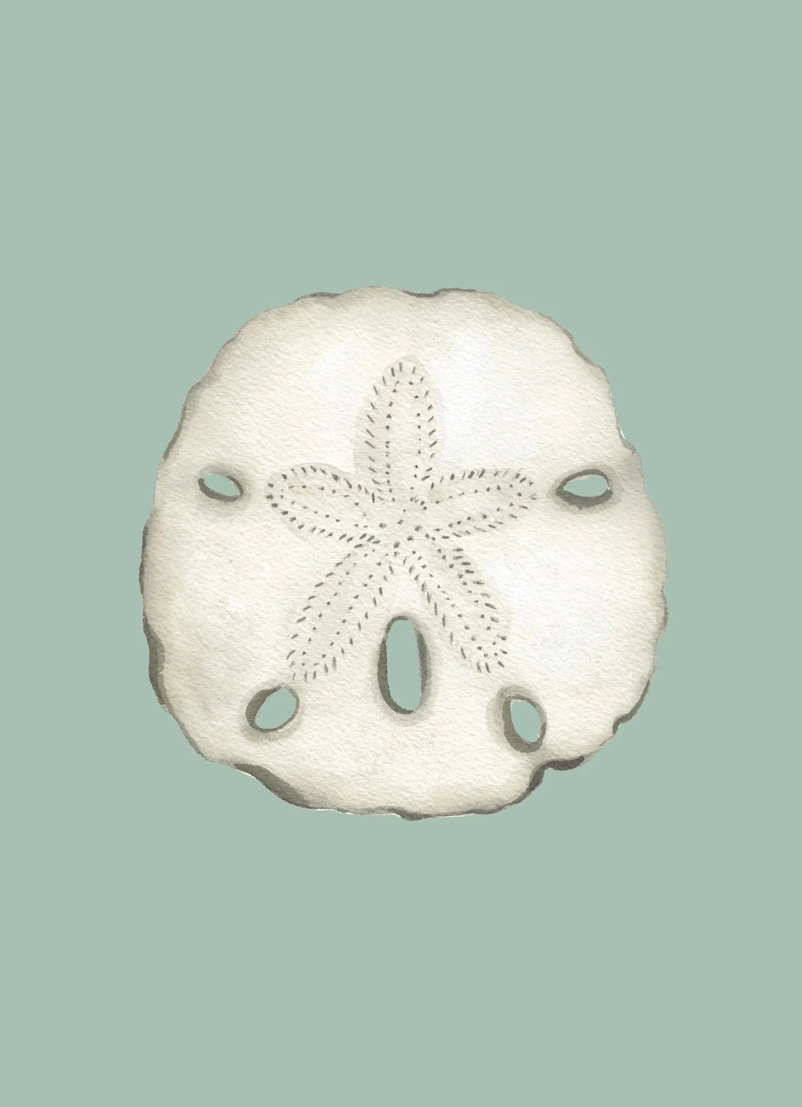 Sand Dollar Art Print Colorful 5x7