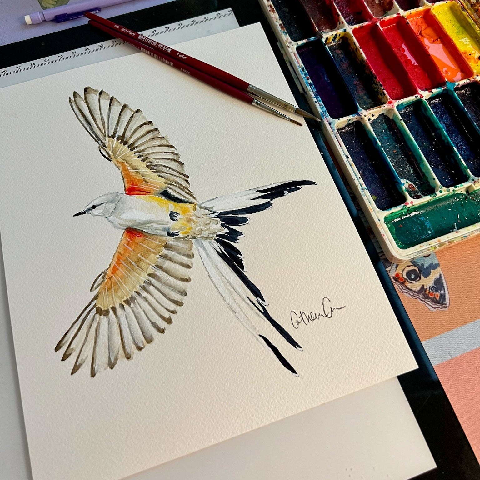 Scissor-Tailed Flycatcher - Original Painting
