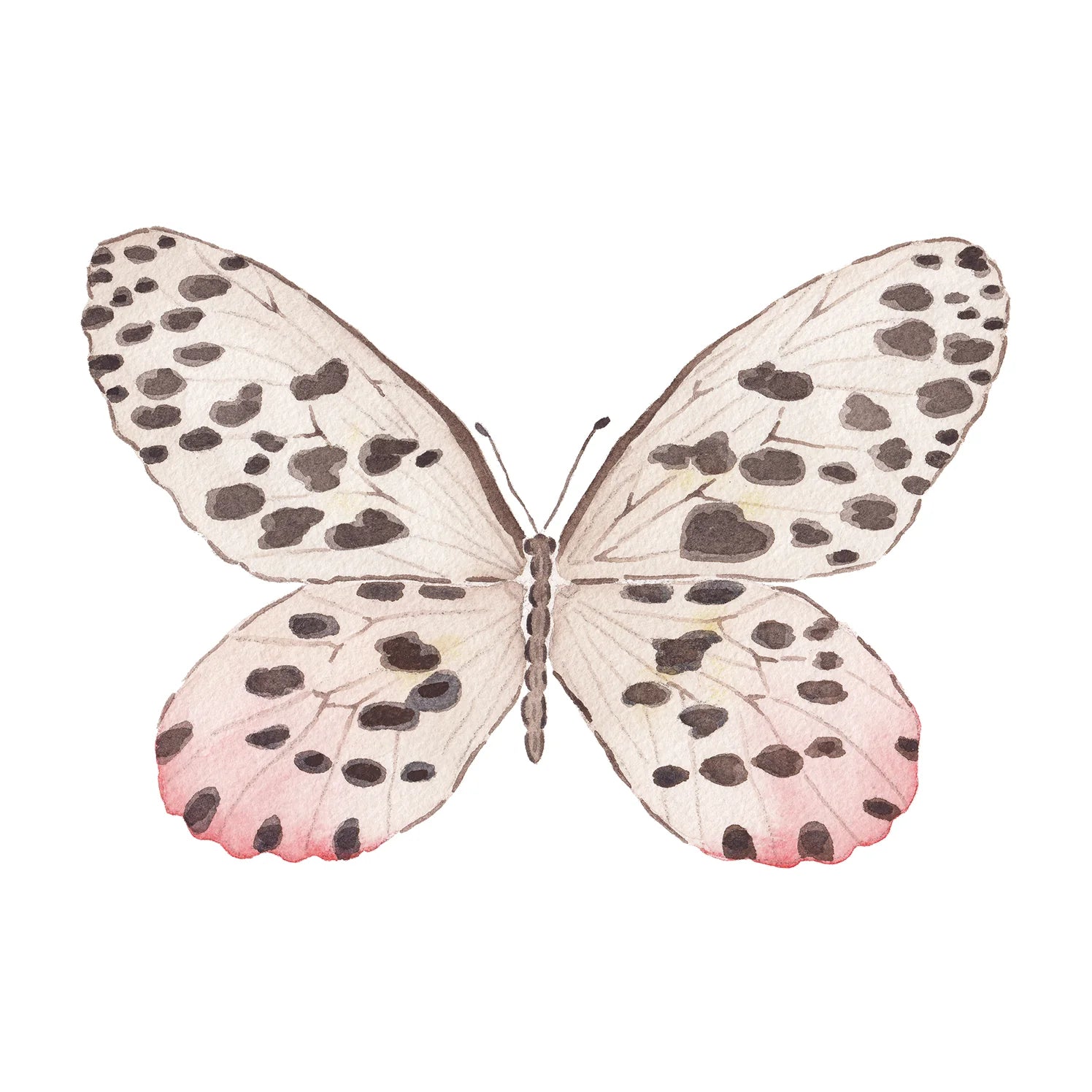 Neutral Spotted Butterfly Acrylic Art Block Large