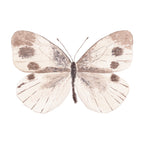 Neutral Butterfly Acrylic Art Block Small