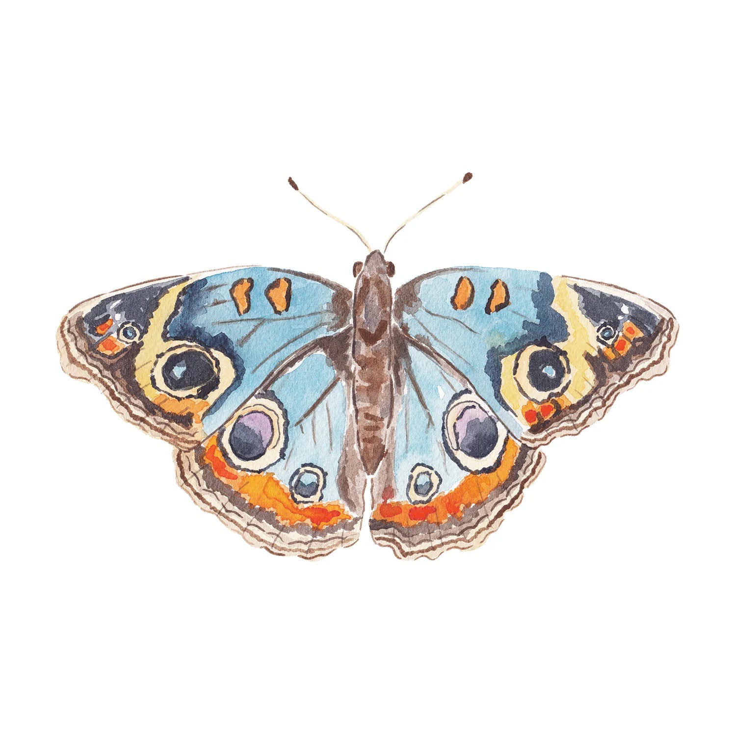 Blue and Orange Butterfly Acrylic Art Block Large