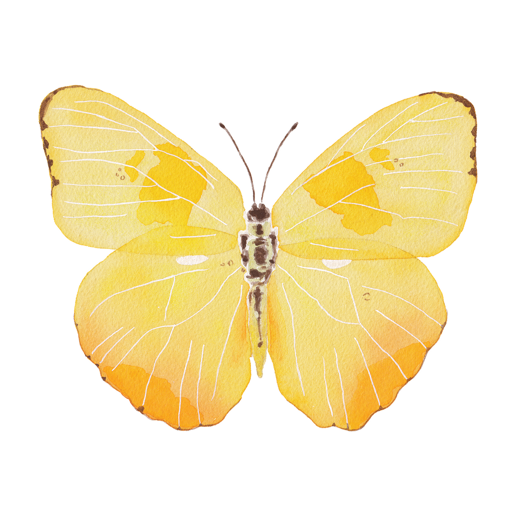 Yellow Butterfly Acrylic Art Block Small