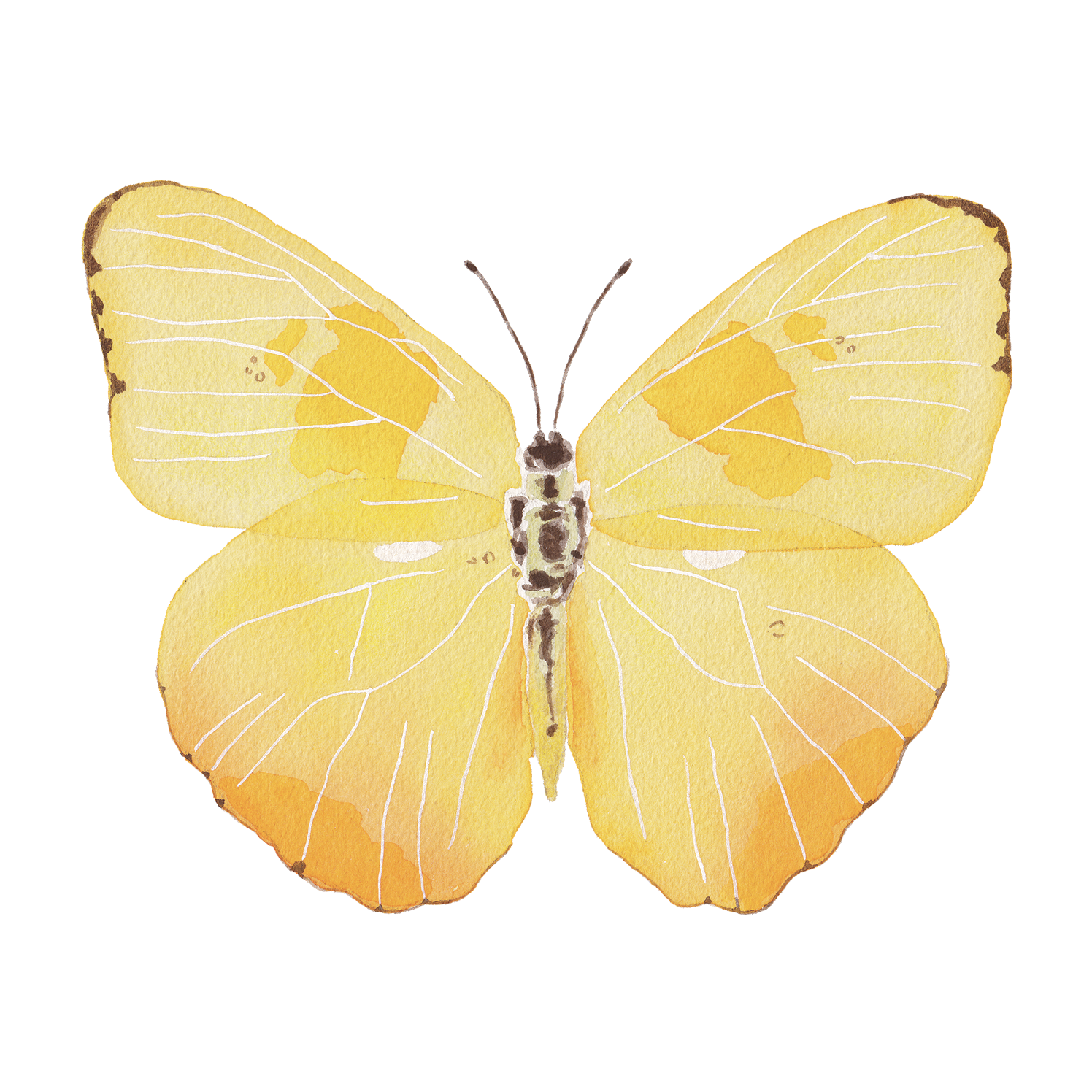 Yellow Butterfly Acrylic Art Block Small