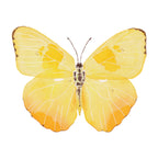 Yellow Butterfly Acrylic Art Block Large
