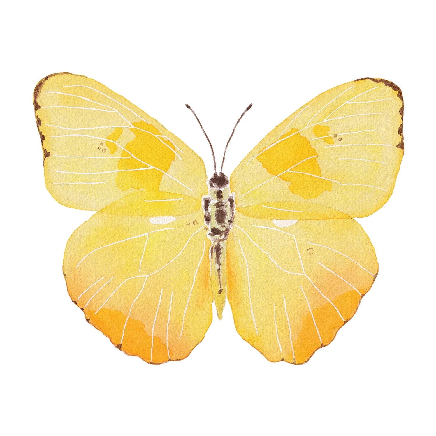 Yellow Butterfly Acrylic Art Block Large