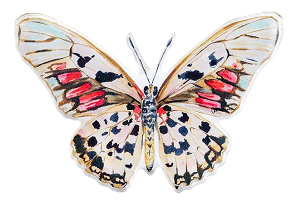 Butterfly-shaped decorative item with multicolored wings