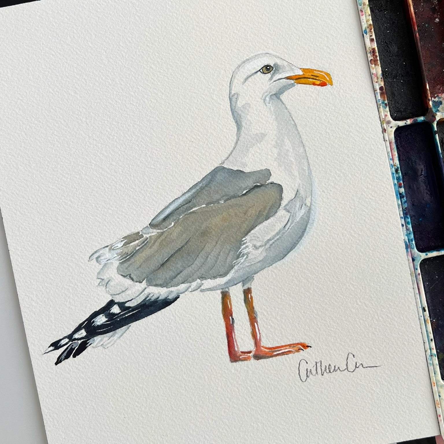 Seagull - Original Painting