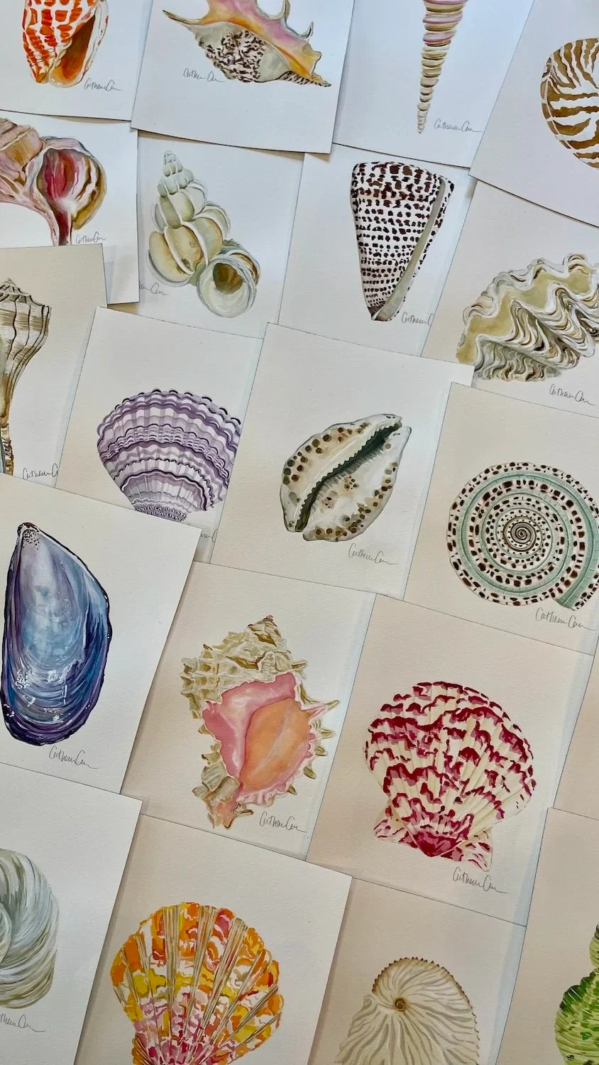 All the Seashells Art Print 11x14