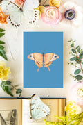 September Butterfly Print 2 5x7
