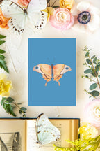 September Butterfly Print 2 5x7