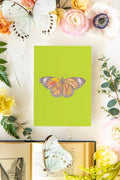 September 3 Butterfly Print 5x7