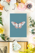 September Butterfly Print 5x7