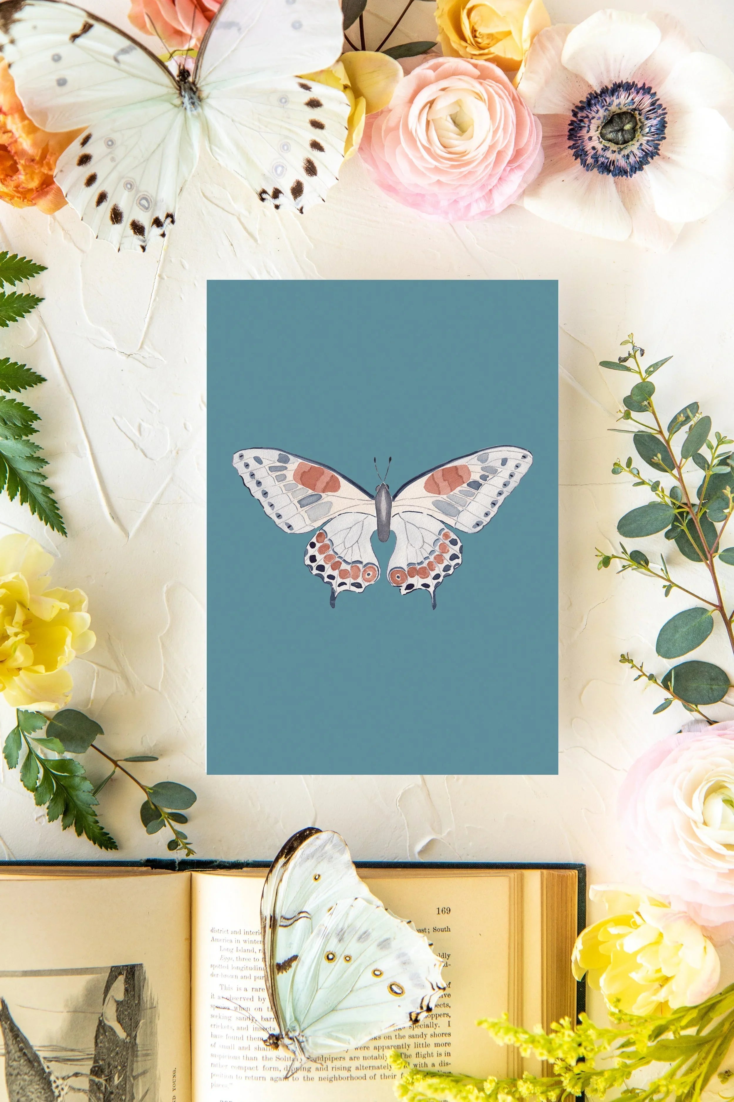 September Butterfly Print 5x7