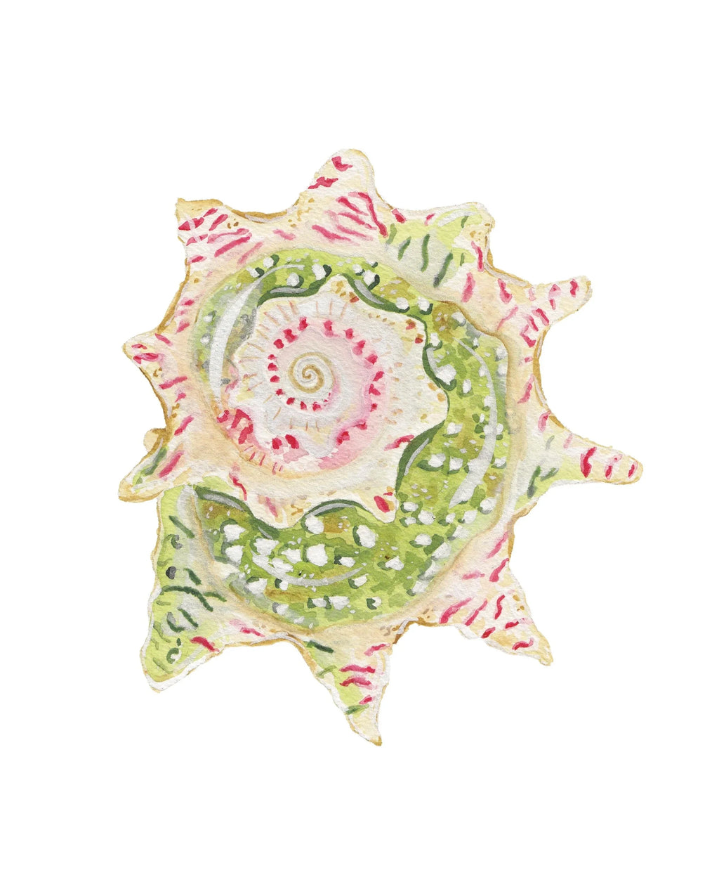 Star Shell Acrylic Art Block Large