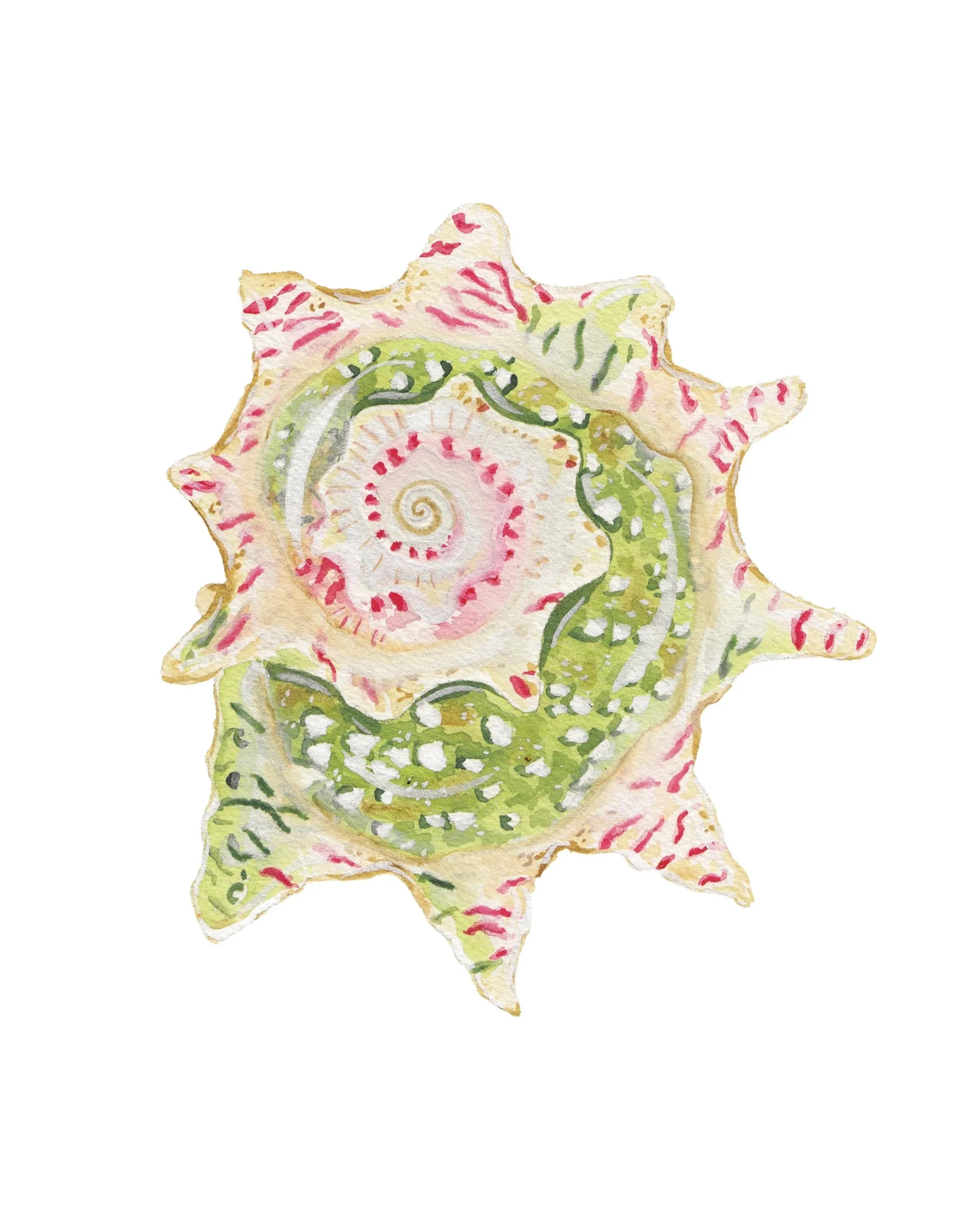 Star Shell Acrylic Art Block Large