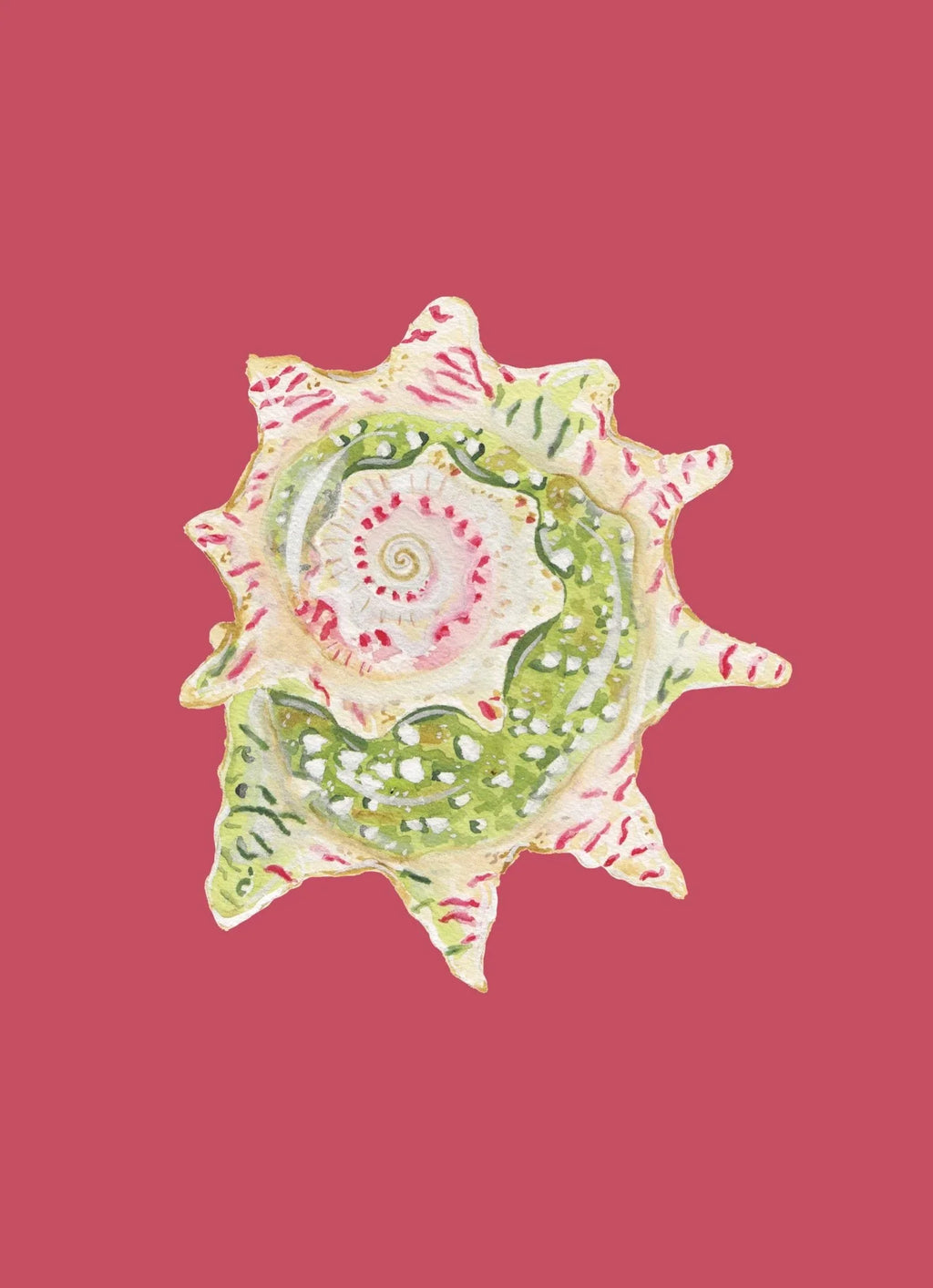 Star Shell Art Print Colorful 5x7
