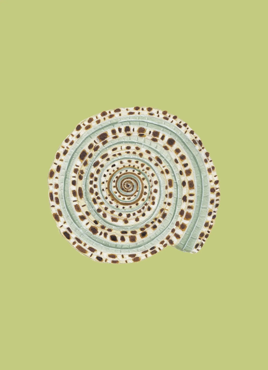 Sundial Shell Art Print Colorful 5x7
