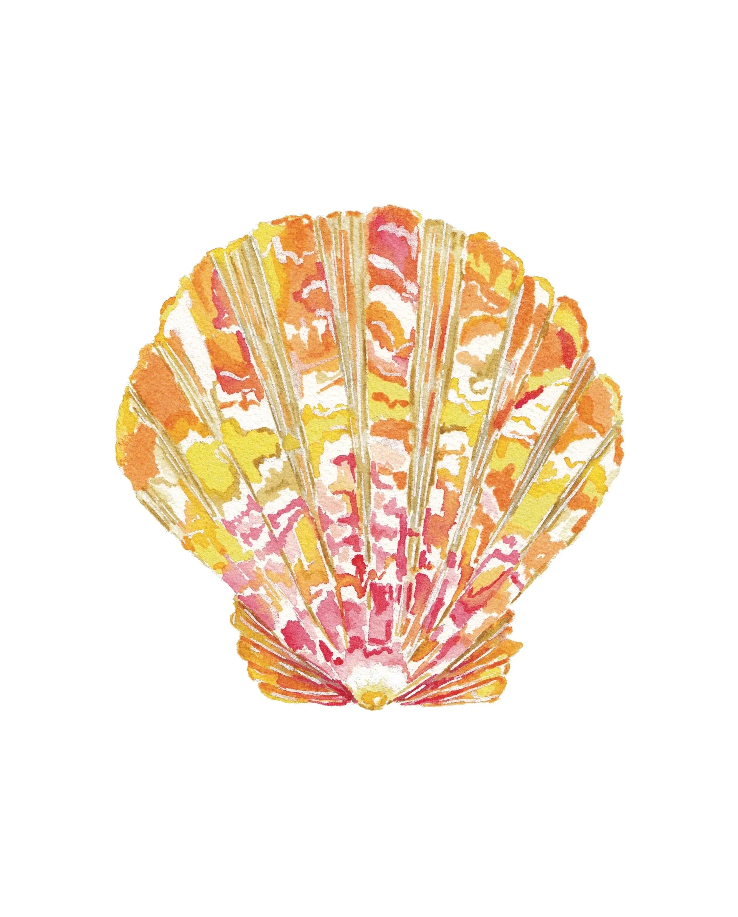 Sunrise Shell Acrylic Art Block Small