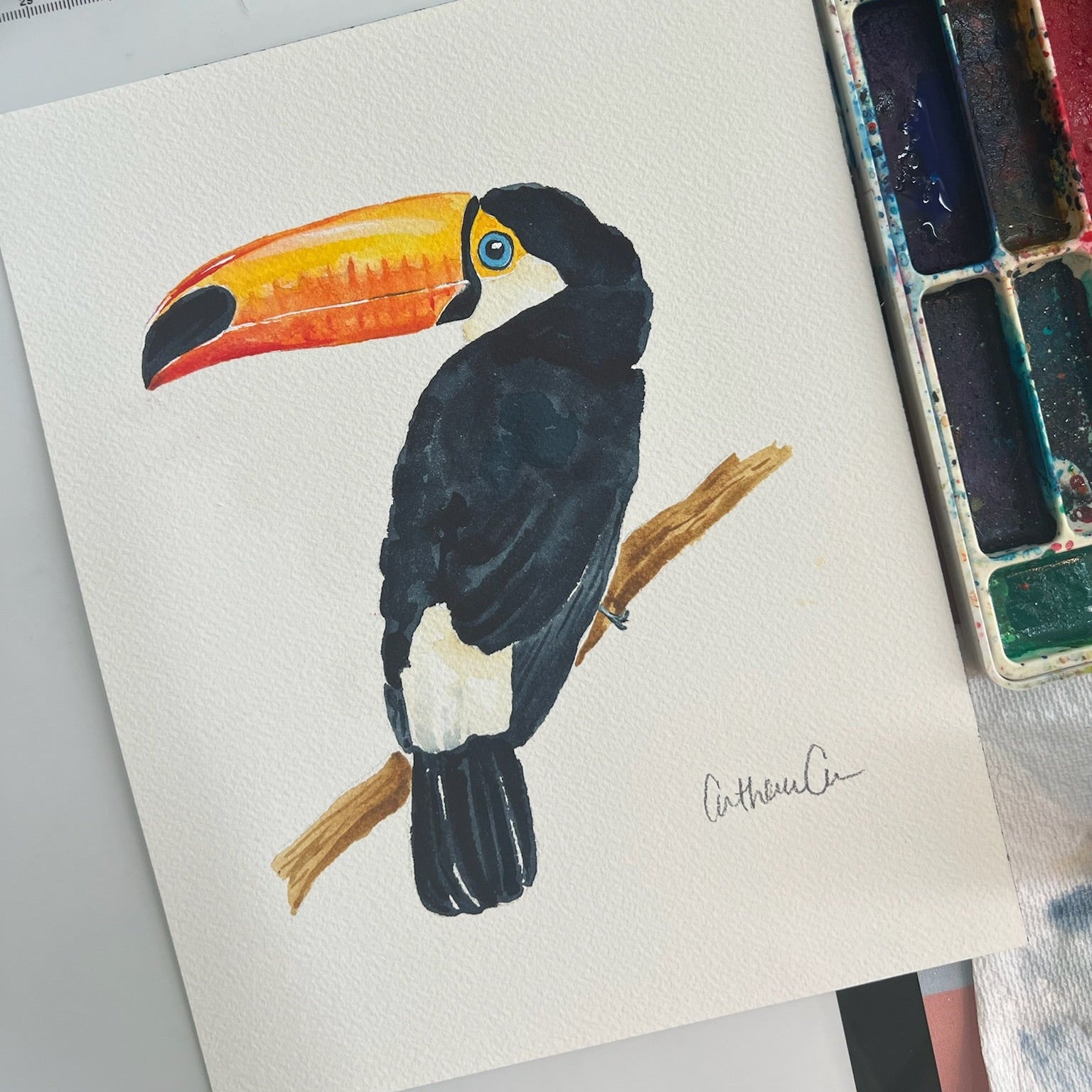 Toucan - Original Painting