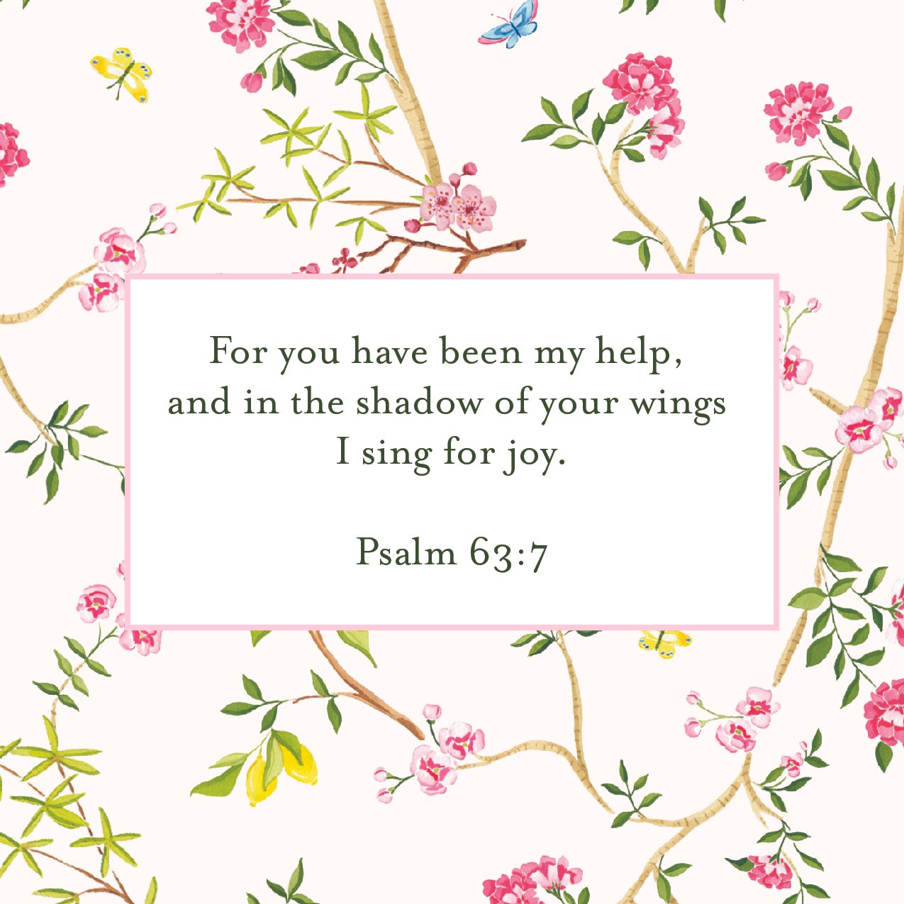 Women's Scripture Cards