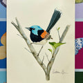 Wren - Original Painting