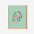 Abalone Art Print Colorful 5x7