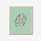Abalone Art Print Colorful 5x7