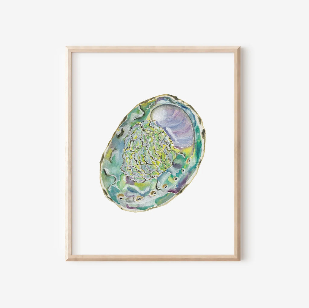 Abalone Art Print 8x10