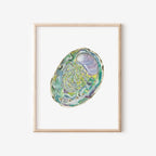 Abalone Art Print 8x10