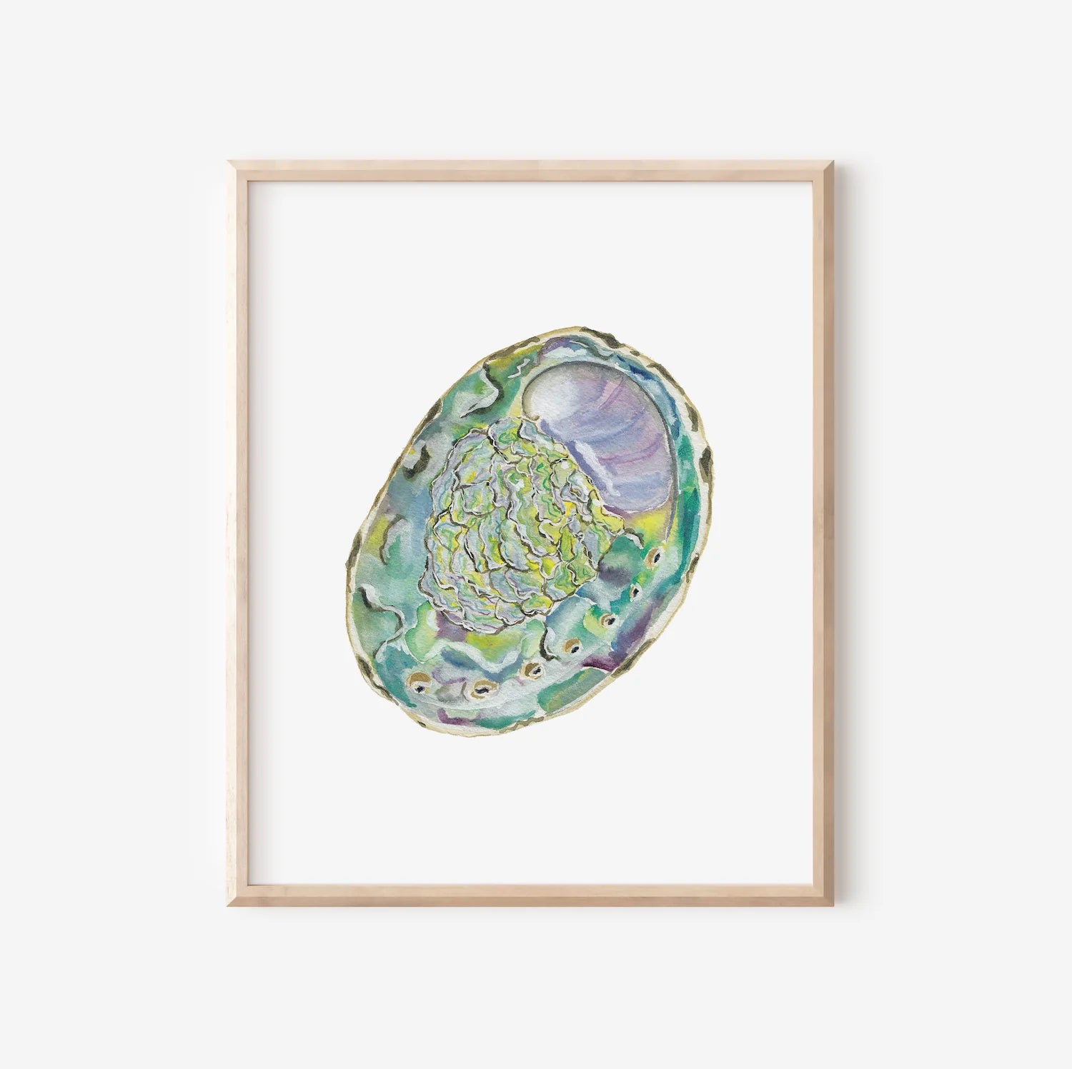 Abalone Art Print 8x10