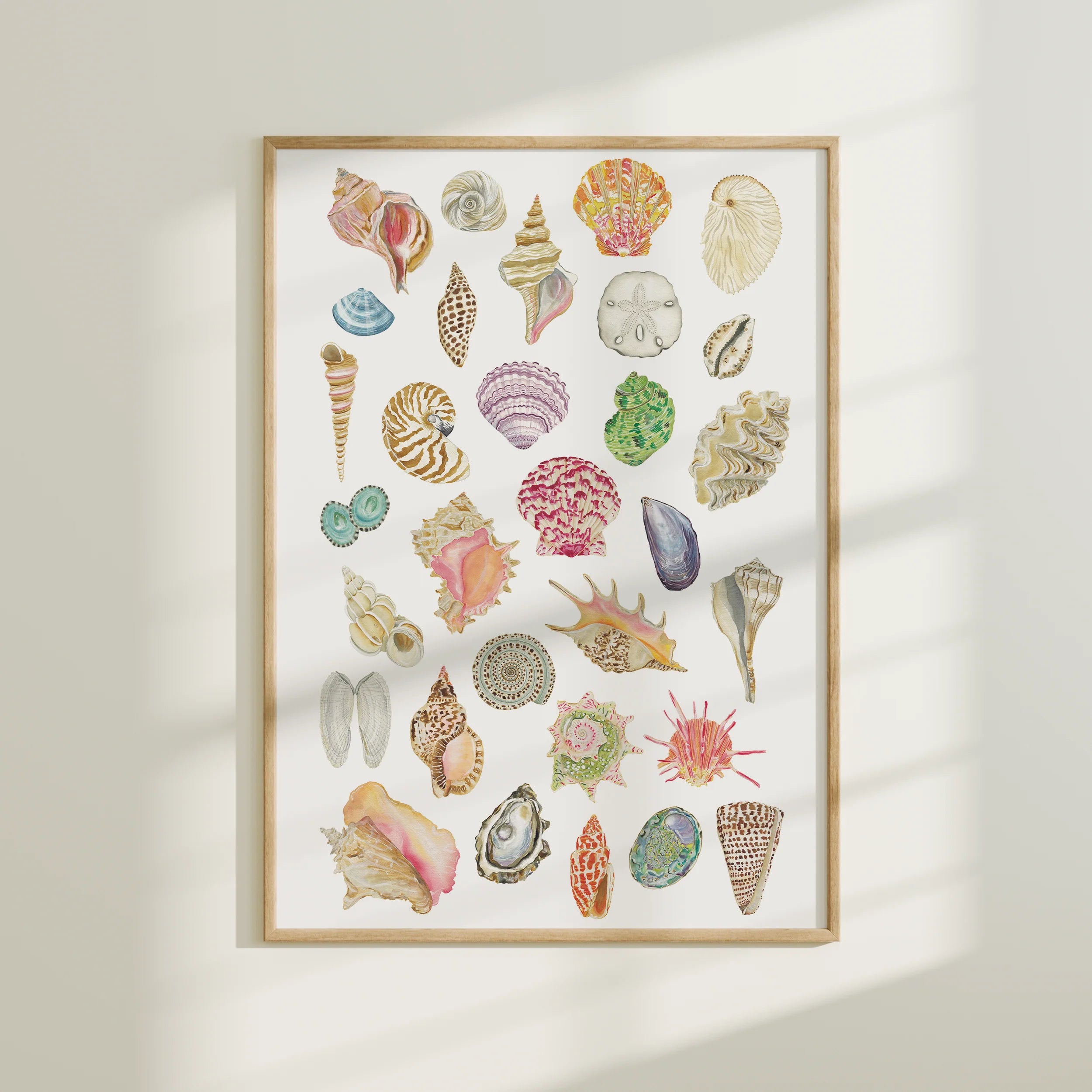 All the Seashells Art Print 11x14