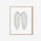 Angel Wing Shells Art Print 8x10